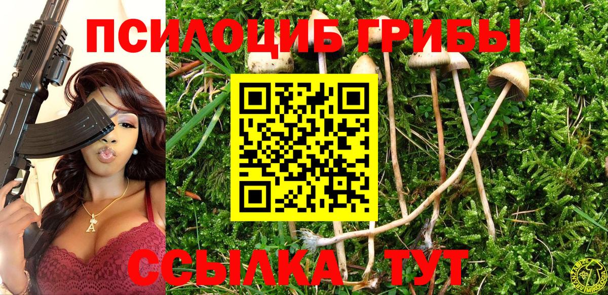 Приморско-Ахтарск  Галлюциногенные грибы ЛСД  Вход с VPN 