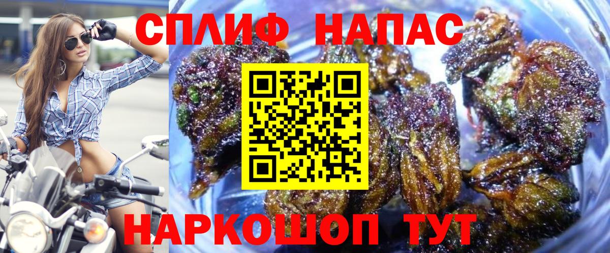 Бошки Шишки THC 21%  Вход с VPN  Конопля OG Kush  Канабис планчик  Приморско-Ахтарск 